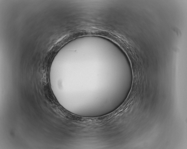 X0000113231205200909100936