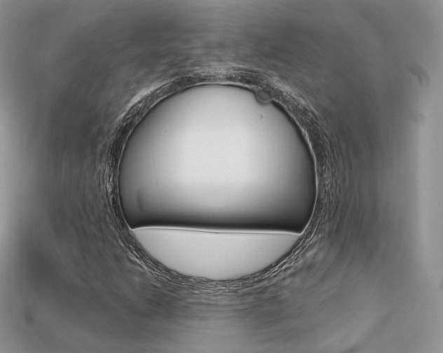 X0000113231206200909100936