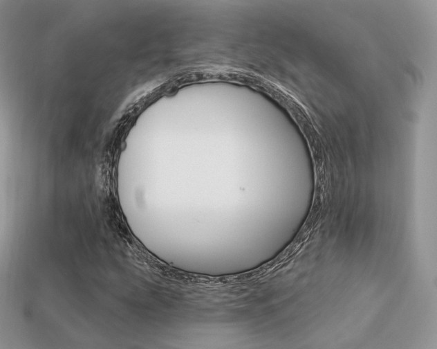 X0000113231207200909100936