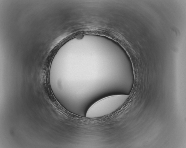 X0000113231208200909100936