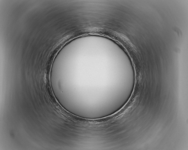 X0000113231209200909100936