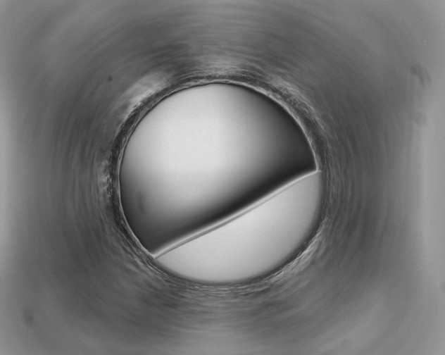 X0000113231210200909100936