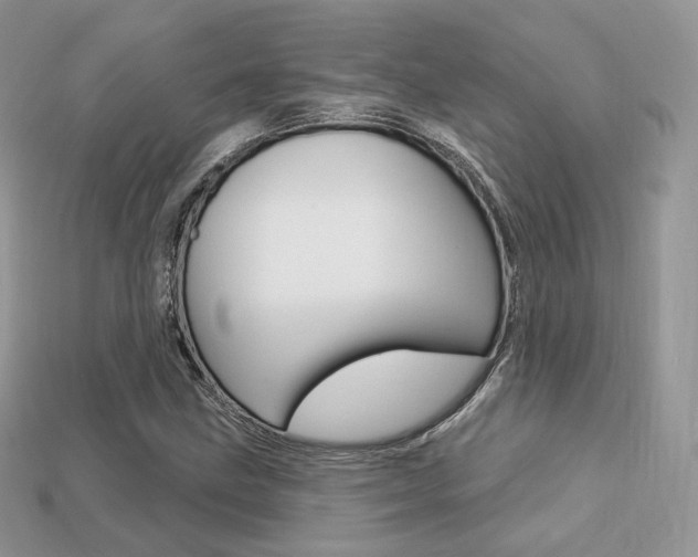 X0000113231211200909100936