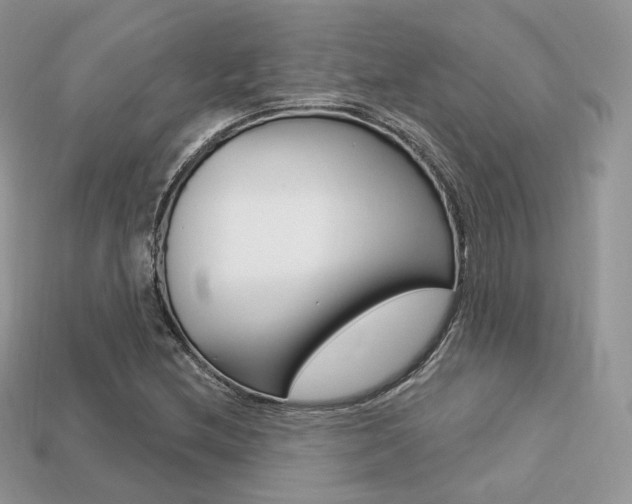 X0000113231212200909100936
