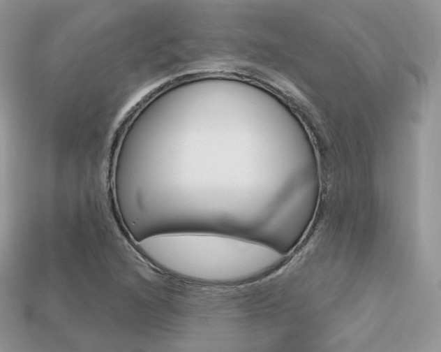 X0000113231216200909100936