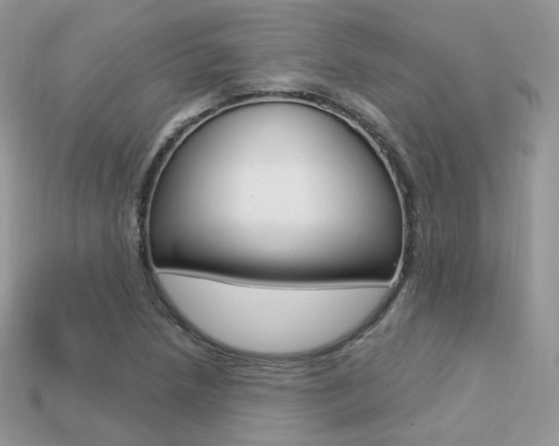 X0000113231218200909100936