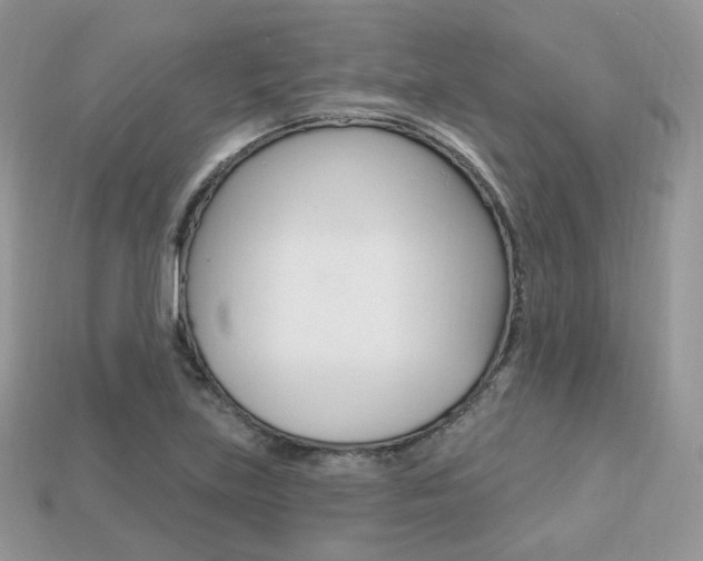 X0000113231219200909100936