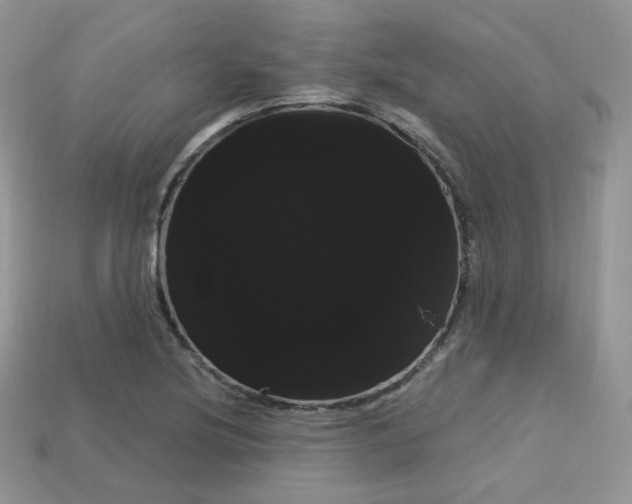 X0000113231220200909100936