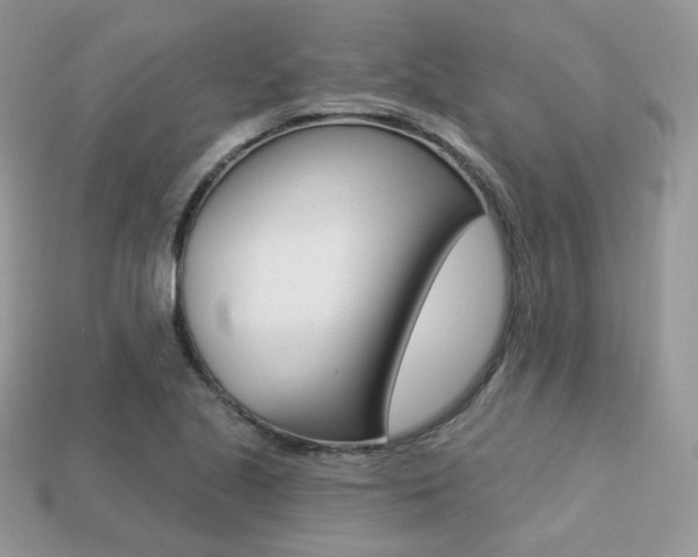 X0000113231221200909100936