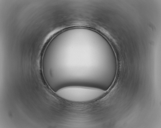 X0000113231222200909100936