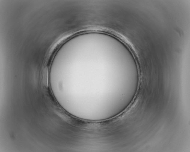 X0000113231223200909100936