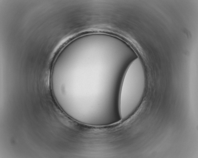 X0000113231224200909100936