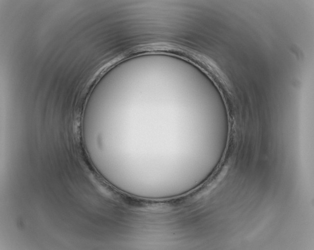 X0000113231225200909100936