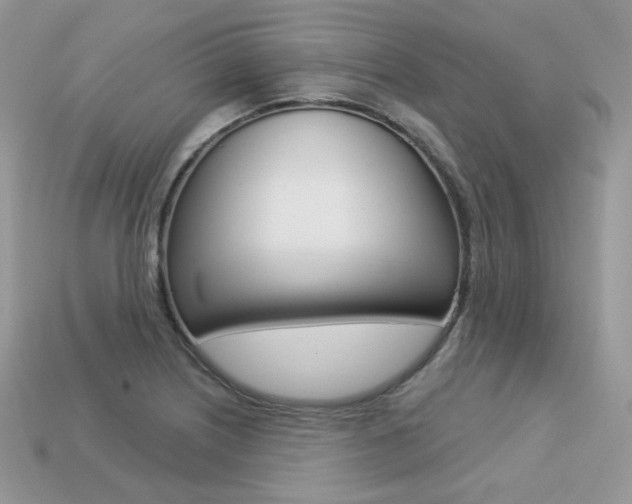 X0000113231226200909100936
