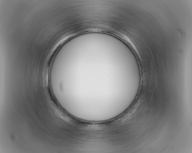X0000113231227200909100936