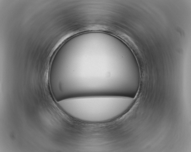 X0000113231228200909100936