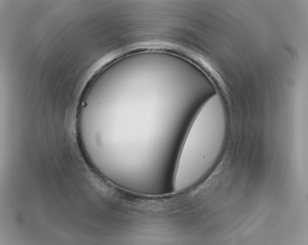 X0000113231229200909100936