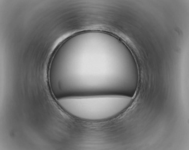 X0000113231230200909100936