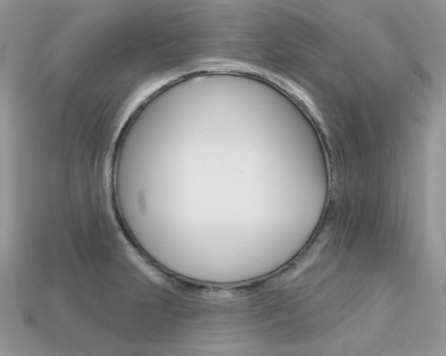 X0000113231231200909100936