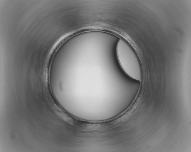 X0000113231232200909100936