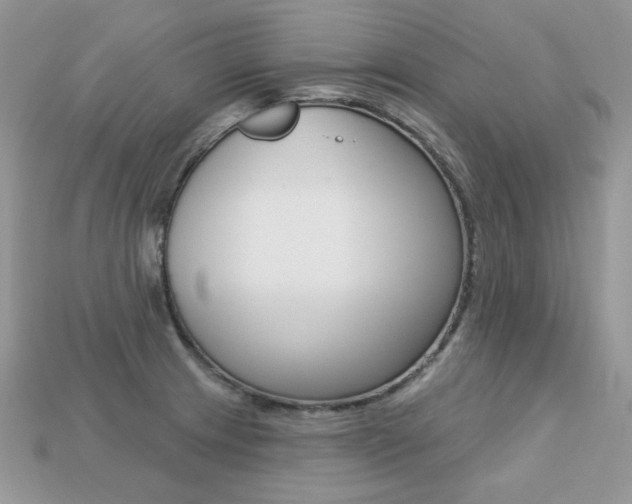 X0000113231233200909100936