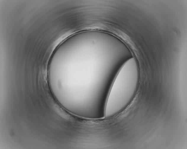 X0000113231234200909100936
