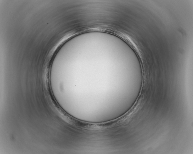 X0000113231235200909100936