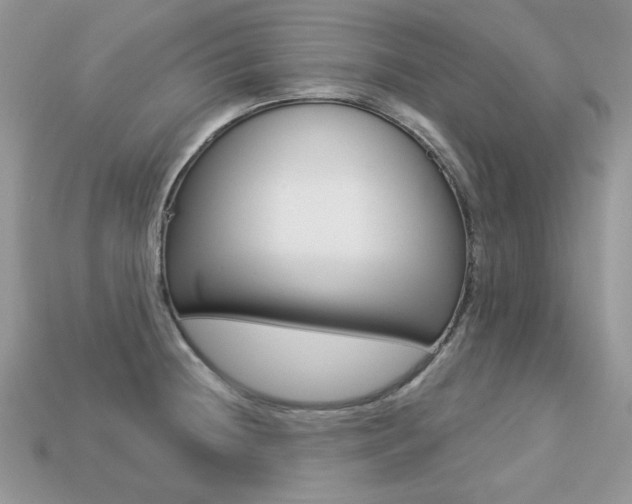 X0000113231236200909100936
