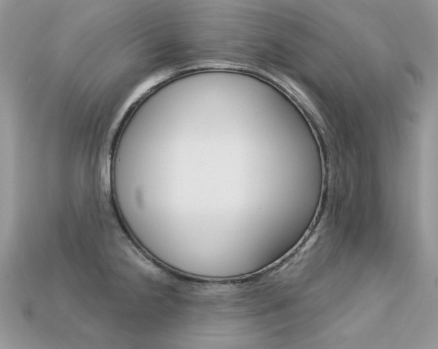 X0000113231238200909100936