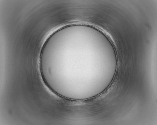 X0000113231239200909100936