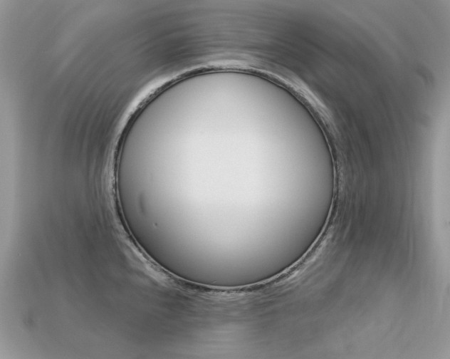 X0000113231240200909100936