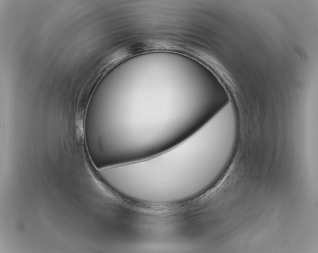 X0000113231241200909100937