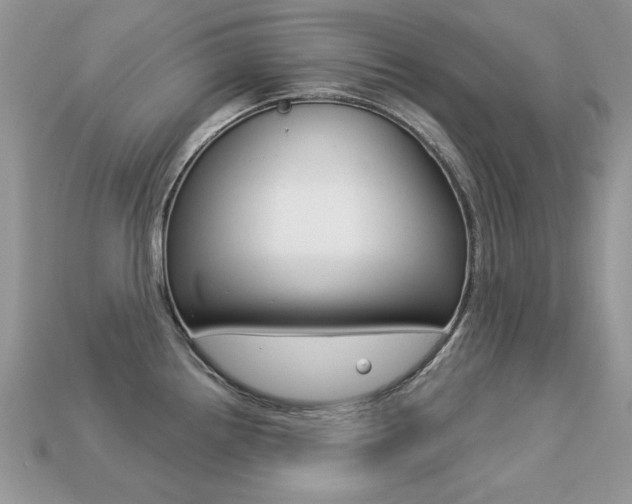 X0000113231242200909100937