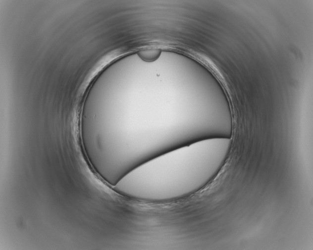 X0000113231243200909100937