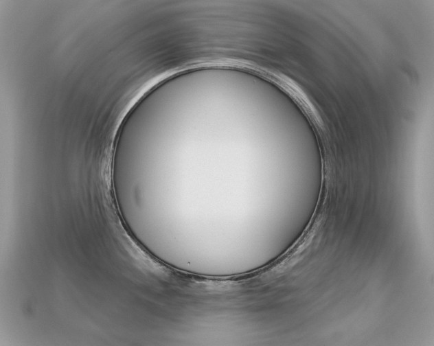 X0000113231244200909100937