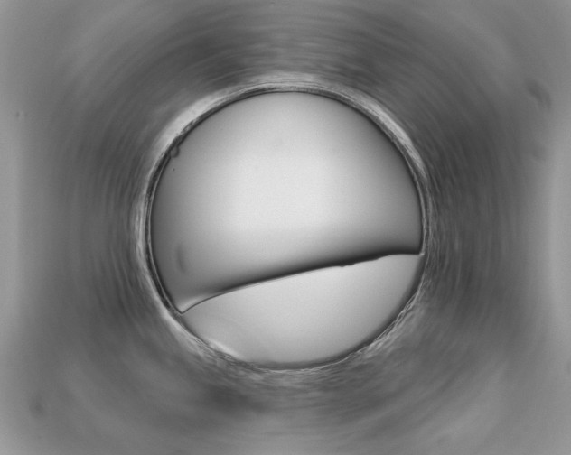 X0000113231245200909100937