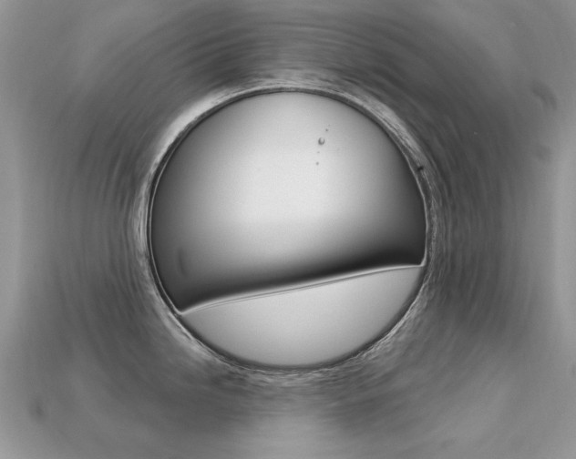 X0000113231246200909100937