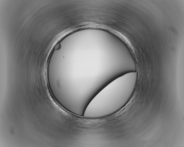 X0000113231247200909100937