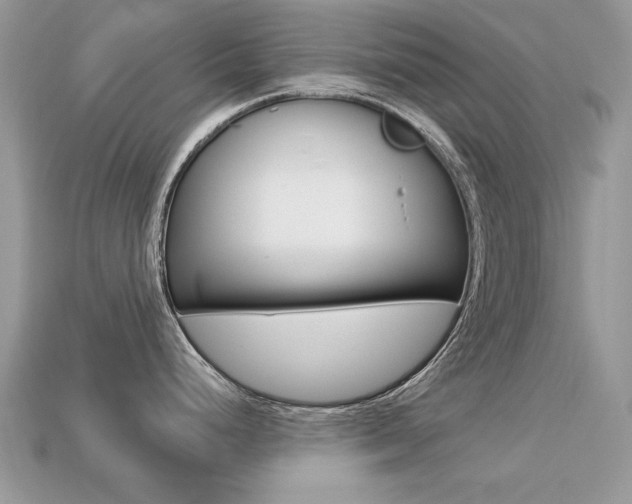 X0000113231248200909100937