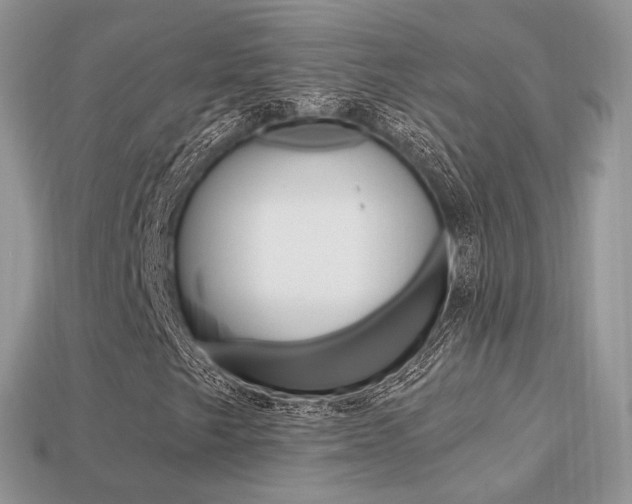 X0000113231249200909100936