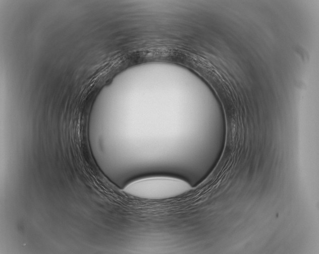 X0000113231250200909100936