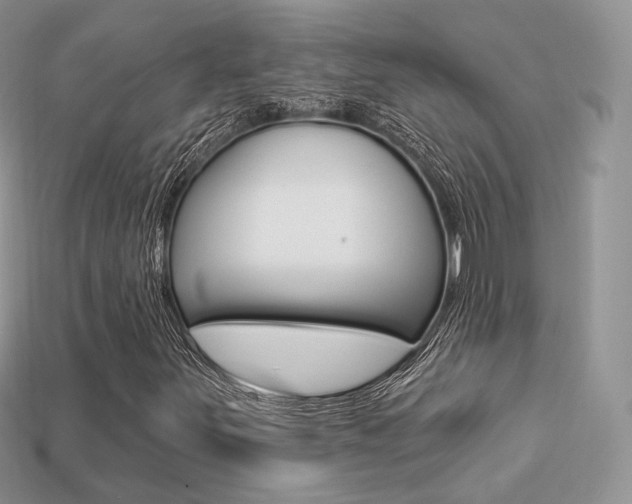 X0000113231251200909100936