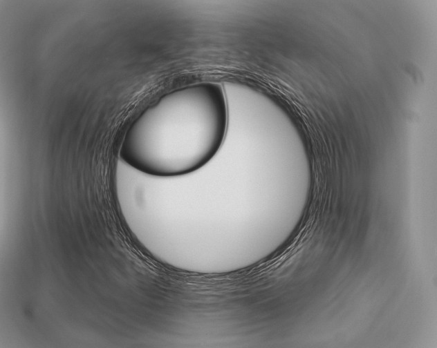 X0000113231252200909100936