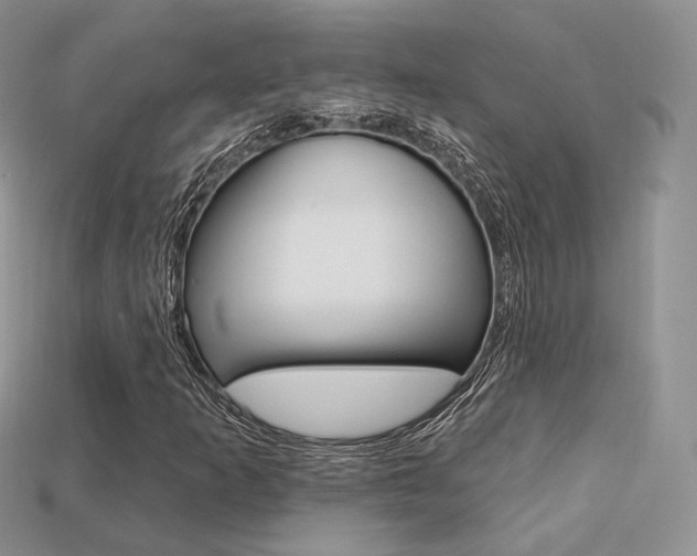 X0000113231253200909100936