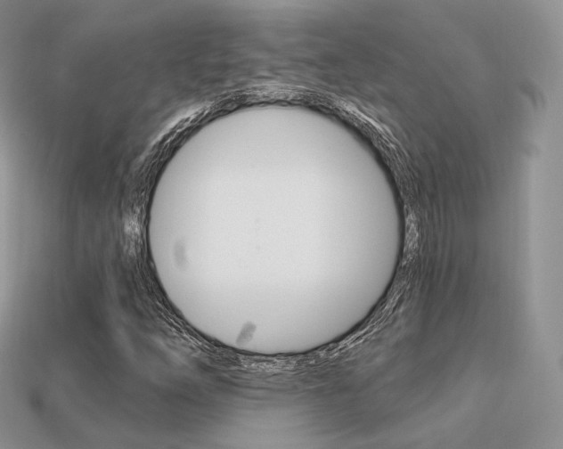 X0000113231254200909100936
