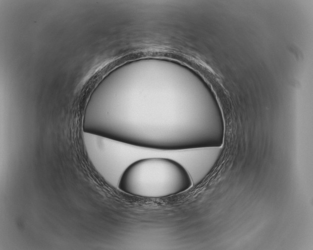 X0000113231255200909100936