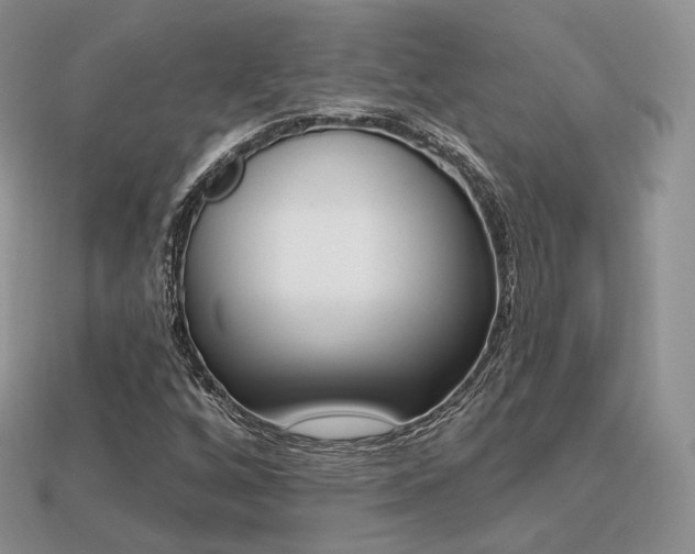 X0000113231256200909100936