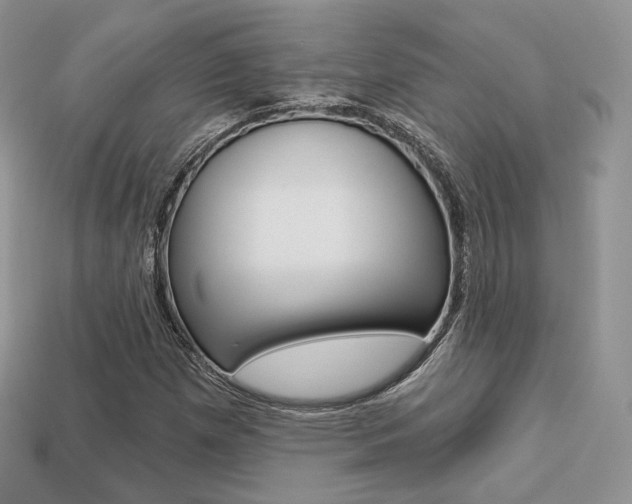 X0000113231257200909100936