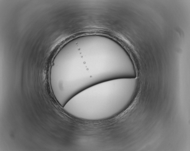 X0000113231259200909100936