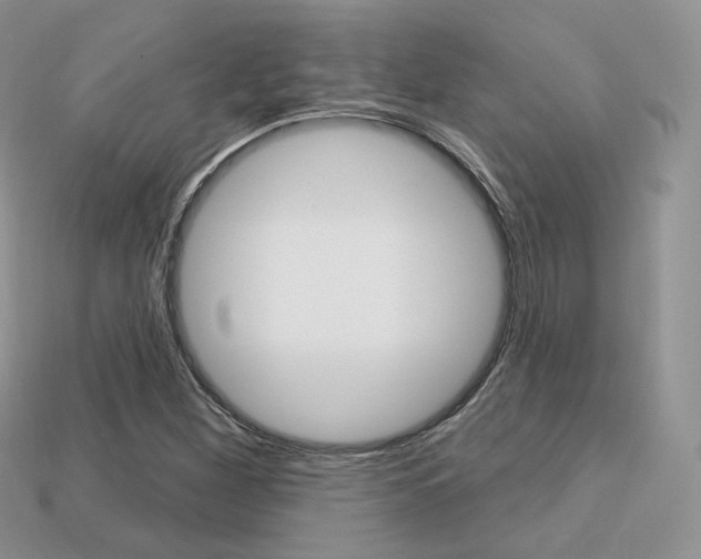 X0000113231260200909100936